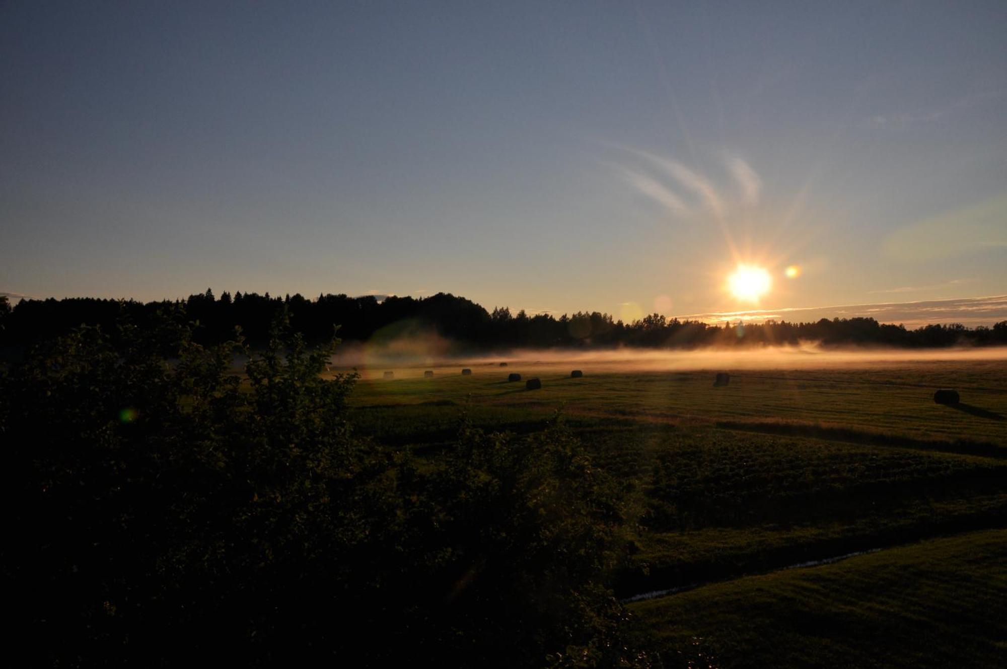 Ponka Guesthouse Jõesuu Exteriér fotografie